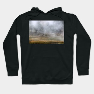 Crows in the Steam Hoodie